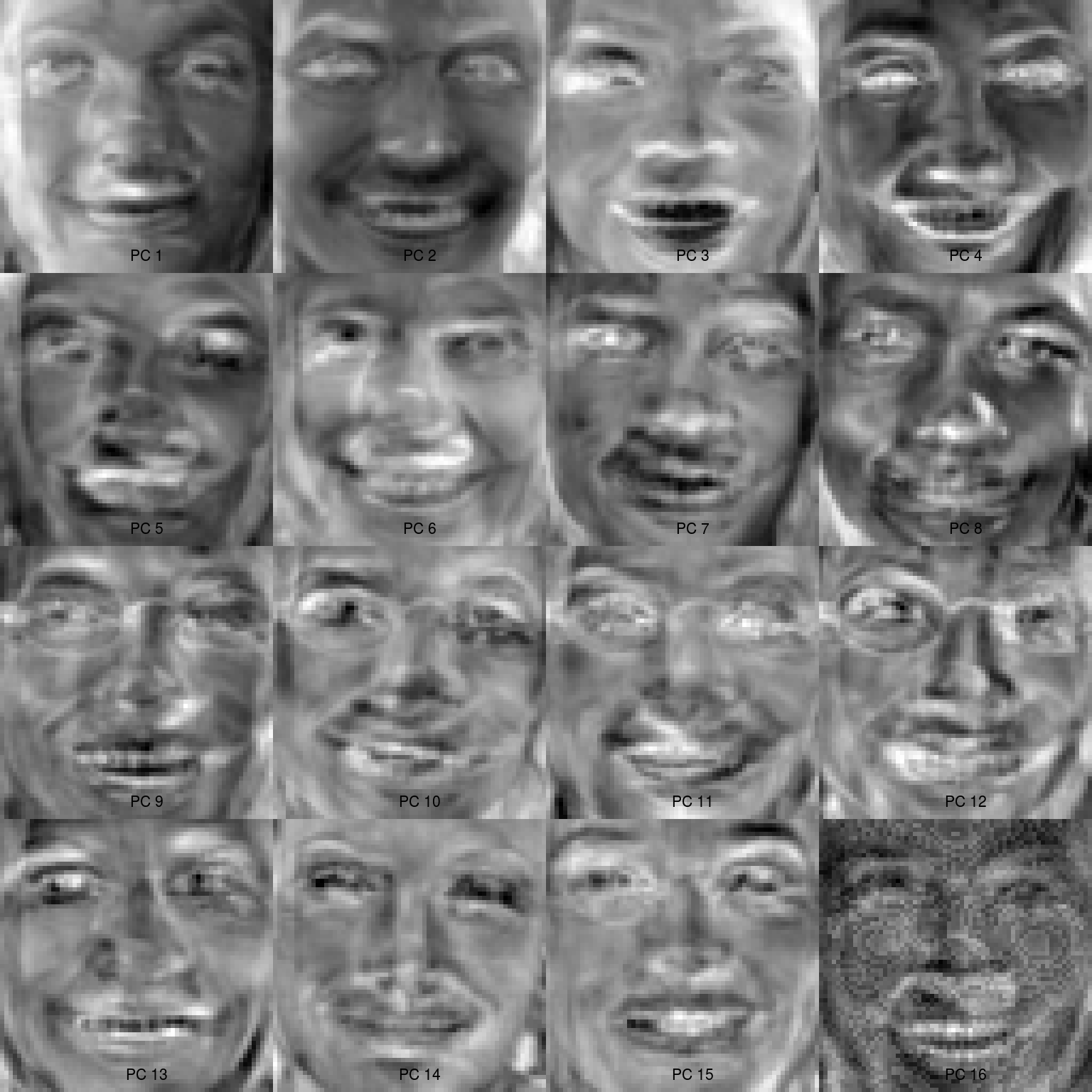 Each eigenface (PC1 to PC16). Note how noisy the faces get.