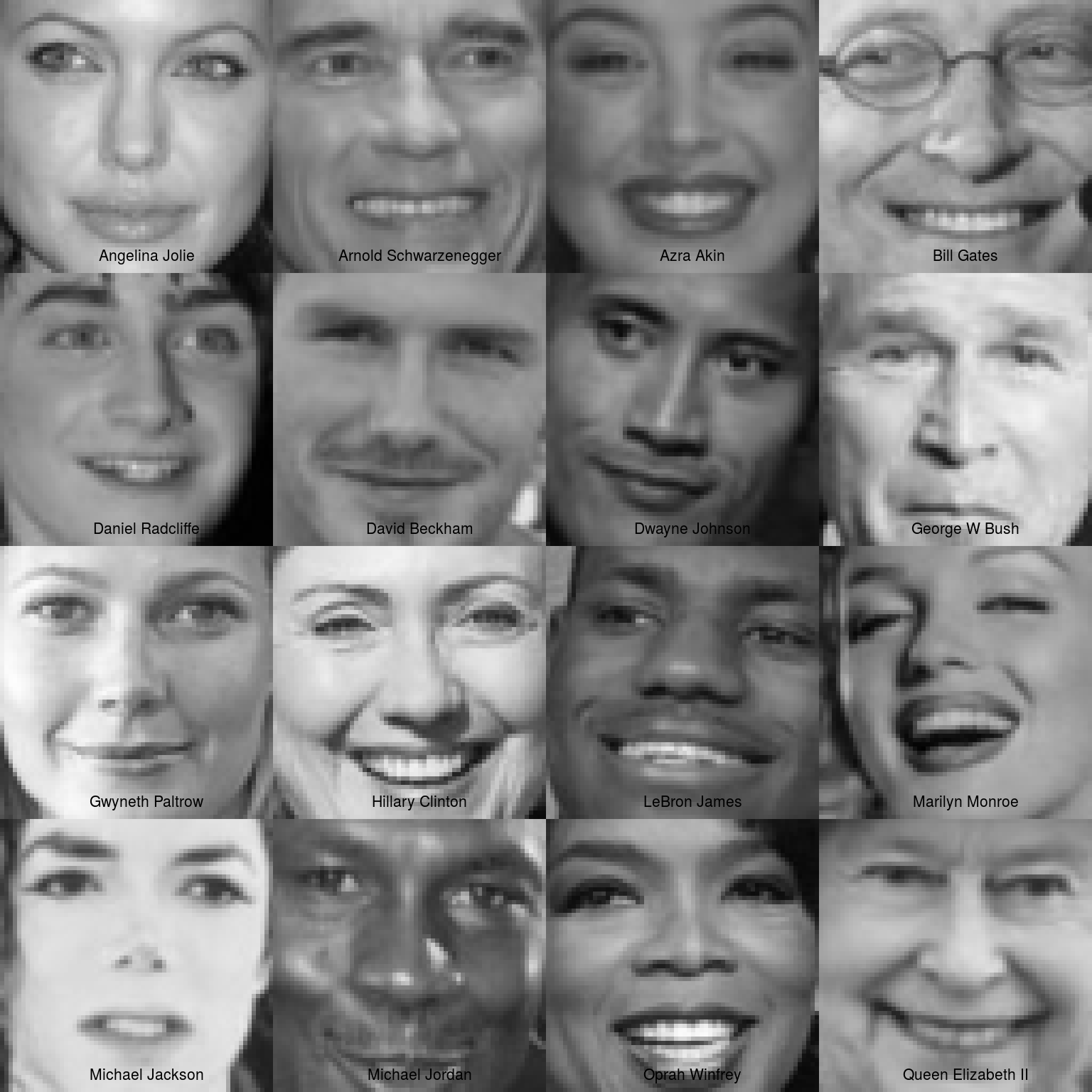 Each face in our dataset.